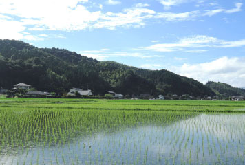 日本の原風景が残る山江村。